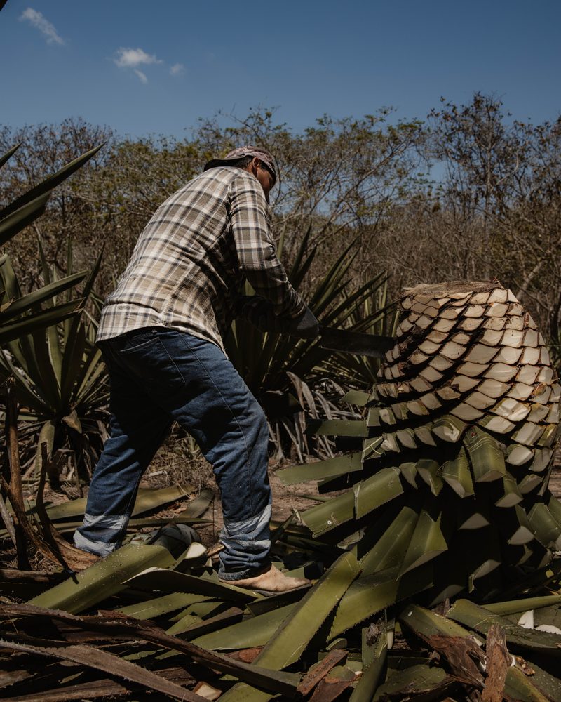 Camino de terracería hacia La Lomita